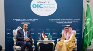 وزير الخارجية يناقش مع نظيره المصري التطورات الإقليمية وتأثيراتها