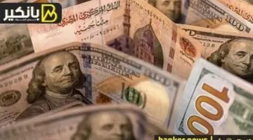 أسعار الدولار مقابل الجنيه المصري في البنوك يوم الإثنين 23 يونيو 2025
