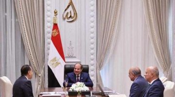 الرئيس السيسي يشدد على أهمية تعزيز الجهود الحكومية لجذب الاستثمارات في مجال الطاقة المتجددة