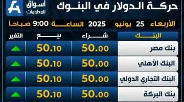 سعر الدولار يرتفع اليوم الأربعاء في البنوك.. كم بلغ سعره بالضبط؟