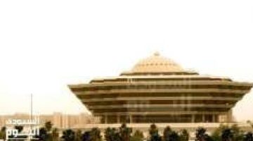 عاجل: وزارة الداخلية تنفذ حكم القتل تعزيراً بحق المصري علاء الحفناوي بعد تورطه في تهريب الإمفيتامين إلى المملكة