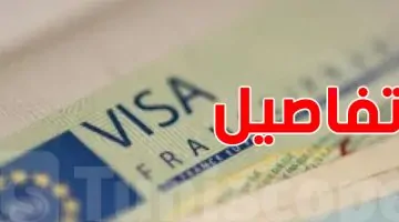 فضيحة التأشيرات المزورة تهزّ المنطقة المغاربية: تعرف على المتورطين