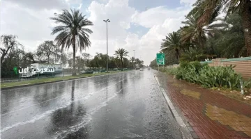 الأرصاد الجوية: أمطار متوسطة مرتقبة في جازان قريباً
