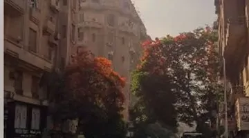 استكشاف عشق القاهرة: شوارع وميادين وسط البلد تروي حكايات الذاكرة والجمال الخالد في فيديو مميز