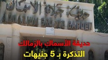 استمتع بفسحة بـ5 جنيهات في حديقة الأسماك: تجربة كأنك في أوروبا!