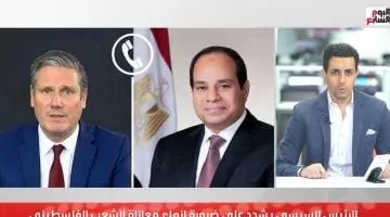 الرئيس السيسي ورئيس وزراء بريطانيا يتواصلان: تفاصيل اللقاء بالفيديو
