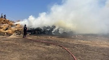 السيطرة على حريق يدمر 40 فداناً من محصول الكتان في قرية شبرا ملس بالغربية - فيديو