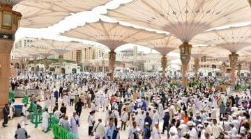 المدينة المنورة تحتضن أهالي الشهداء: من معاني التضحية إلى سبل الطمأنينة (فيديو)