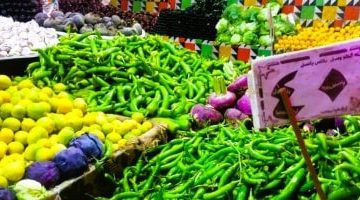 انخفاض ملحوظ في أسعار الخضراوات بسوق الجملة في أكتوبر - شاهد الفيديو