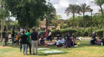 تجربة العيد الممتعة: جولة فريدة في حديقة سفاري بارك - فيديو
