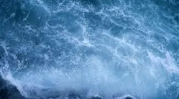 تدهور المحيطات: تأثيرات خطيرة على سلاسل الغذاء وصحة البشر
