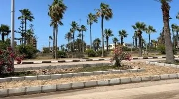 جمصة تُعزز استعداداتها لعيد الأضحى وموسم الصيف من خلال تطوير المدينة - فيديو