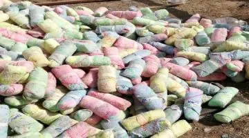 القبض على 6 مهربين بحوزتهم 516 كيلوغرام من القات في عسير