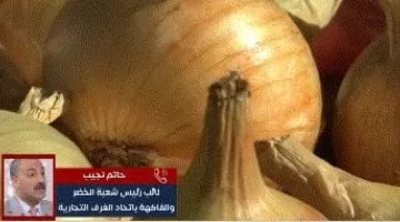 كيف تؤثر الحرب على أسعار الخضار والفواكه؟ اكتشف التفاصيل بالفيديو