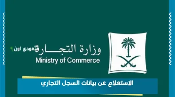 وزارة التجارة توضح كيفية الاستعلام عن بيانات السجل التجاري في 3 خطوات بسيطة على موقعها الإلكتروني