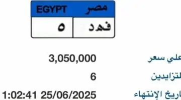مزاد اللوحات المميزة للسيارات: سعر 'فهد - 5' يتجاوز 3 ملايين جنيه - فيديو
