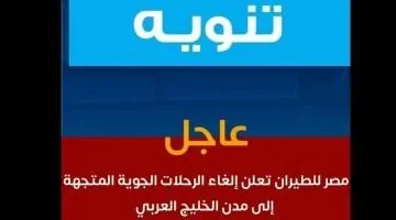 مصر للطيران تلغي رحلاتها إلى مدن الخليج العربي: تفاصيل وفيديو توضيحي