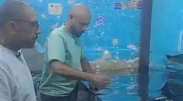 ورش نجيب الريحاني لصيانة الثلاجات والديب فريزر: خدمات ممتدة بأسعار تنافسية