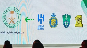 اقتراح إنشاء أندية رياضية جديدة تحت ملكية الشركات لتحقيق استثمار فعال