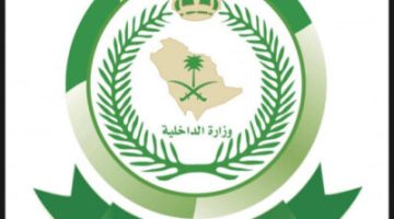 إحباط محاولة تهريب 523 كجم من نبتة القات المخدر في عملية ناجحة