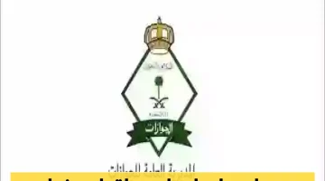 الجوازات السعودية تُوضح 3 أسباب حاسمة تمنع تجديد إقامة السائق الخاص: الهروب و60 عاماً في المقدمة!