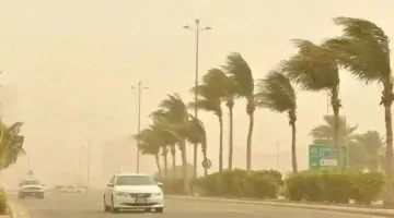 الأرصاد تحذر: رياح نشطة تعصف بمنطقة الباحة