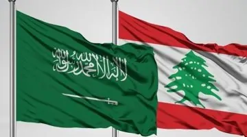 السعودية تنجح في إحباط محاولة تهريب "الإمفيتامين" بالتعاون مع الجمارك اللبنانية