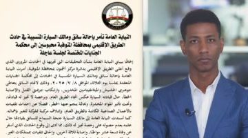 إحالة سائق ومالك السيارة المتسببين بحادث الطريق الإقليمي للجنايات.. تفاصيل وفيديو