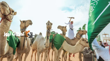 السعودية تُحقق نجاحاً بارزاً في ختام رئاستها للسنة الدولية للايب 2023