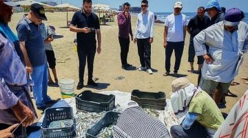 بين الشبك والأمواج: اكتشفوا نهاية رحلة الصيد في بحر بورسعيد