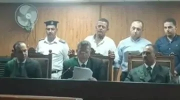 تفاصيل محاكمة سائق تسبب في وفاة 19 شخصًا على الطريق الإقليمي بالمنوفية - فيديو